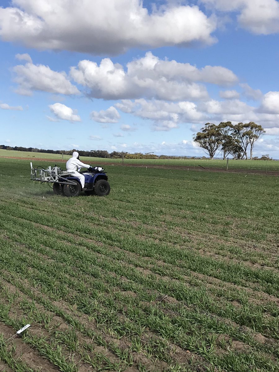 We are well into it!!! <a href="/CQCropProtect/">Conquest Crop Protection</a> last week #bolgart post em radish control with Howitzer. #herbicide <a href="/RexCao2/">Rex Cao</a> between the handle bars. #CQTrials