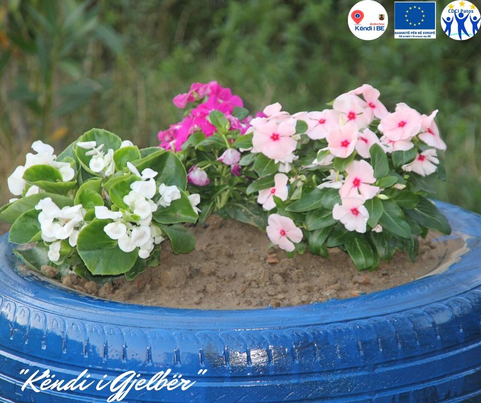 EUUnitPatos's tweet photo. 2/2 When the community is involved in #local initiatives, the #sustainability of small projects is assured! Continuously supported by the #MunicipalitiesforEurope project, the #EU is getting closer than ever to 🇦🇱 local communities. #Environment #ForNature @EU_ENV https://t.co/6Db33cizIa