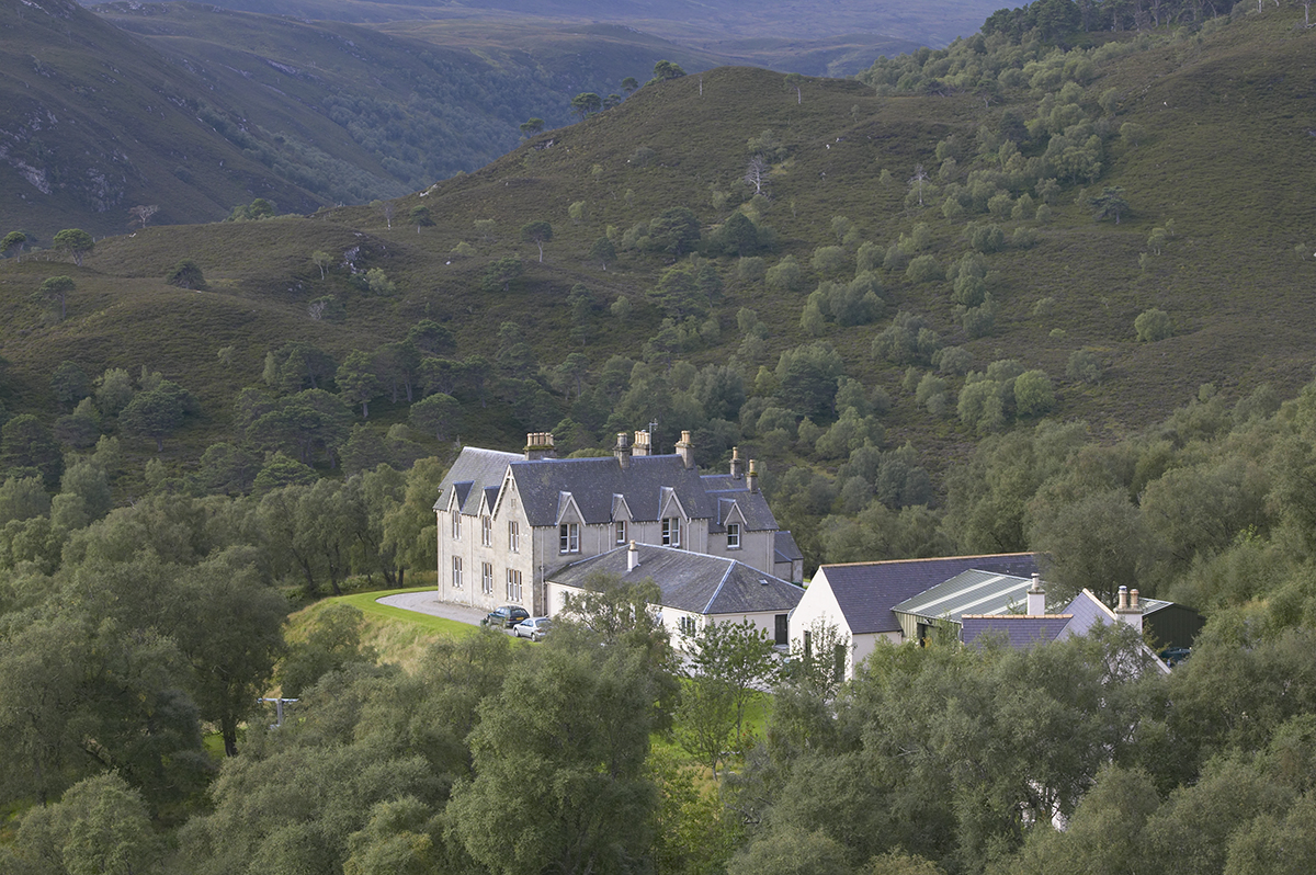 Some fantastic work going on at Alladale Wilderness Reserve in Sutherland. Trees going in the ground, peatlands being restored, jobs being created. Check out this interview with owner and custodian, Paul Lister. #rewilding scotlandbigpicture.com/Images/2020/06…