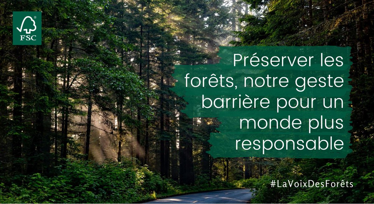 La Voix Des Forets Twitter La Voix Des Forets Twitter