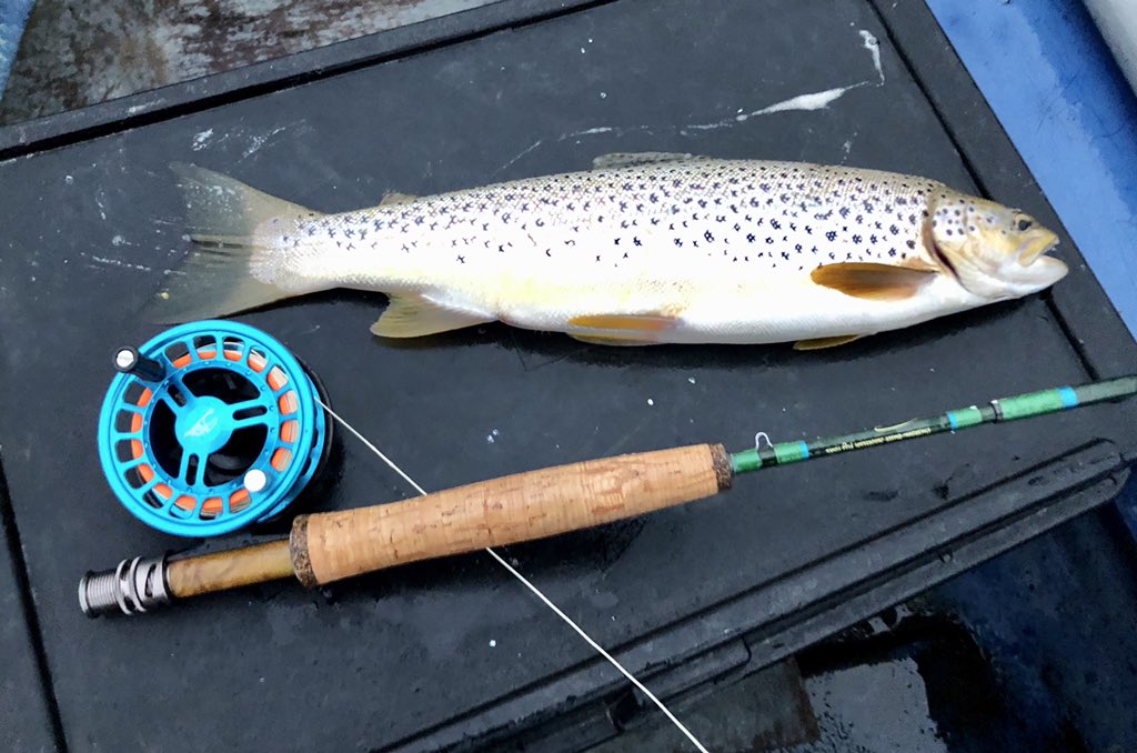 hopper68's tweet photo. Had a good couple of hours on Loch Watten last night netted 8 to 2lb #flyfishing #wetflies #silverbutcher #lochwatten #caithness https://t.co/4daHOknaUC