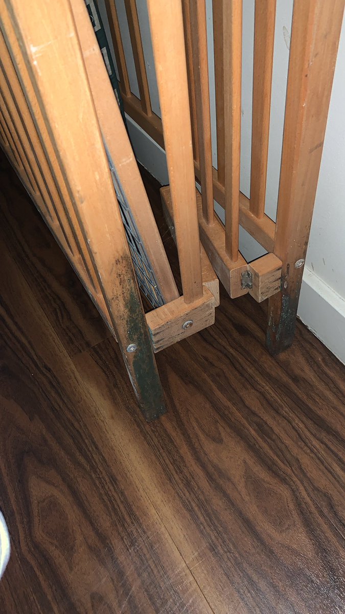MelilokTNcreWA's tweet photo. @centerparcsfr cottage vip sale obligé de faire le ménage,moisissures et odeurs…
J’aurai du prendre un cottage normal il était propre l’année dernière…
Il me reste encore 4 jours 😫
La réception va m’entendre!!!
#boisfrancs https://t.co/JlLuopGBom
