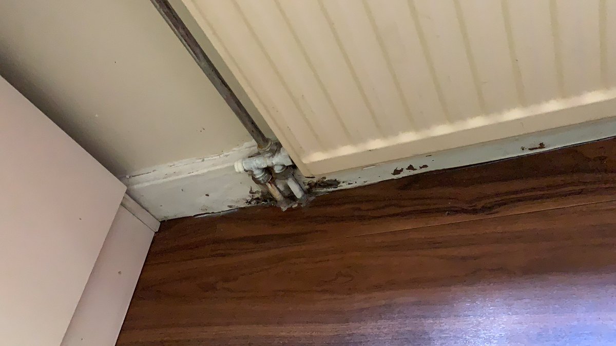 MelilokTNcreWA's tweet photo. @centerparcsfr cottage vip sale obligé de faire le ménage,moisissures et odeurs…
J’aurai du prendre un cottage normal il était propre l’année dernière…
Il me reste encore 4 jours 😫
La réception va m’entendre!!!
#boisfrancs https://t.co/JlLuopGBom