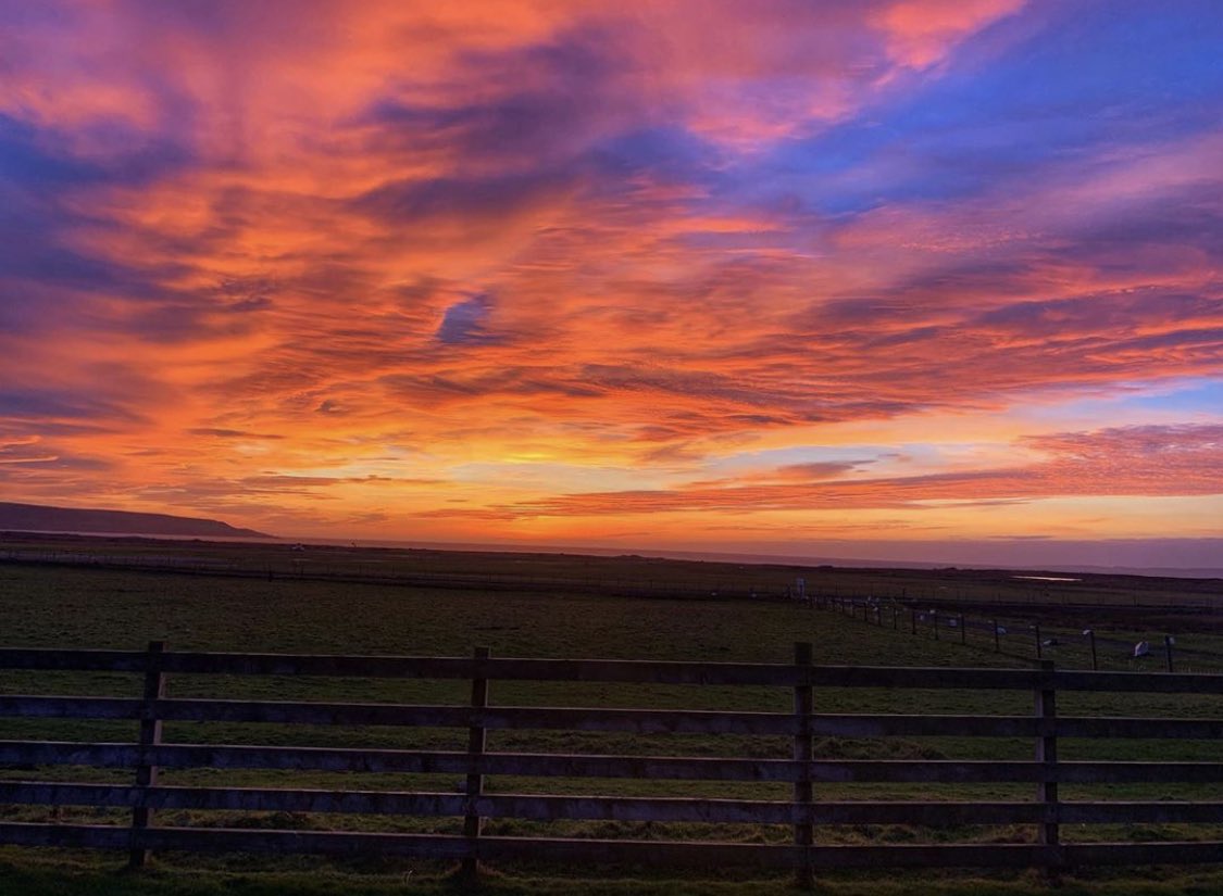 GlenegedaleH's tweet photo. 20 minutes and you can start to book the @CalMacFerries .... how exciting Fingers at the ready and we look forward to seeing you from the 15th July for @GlenegedaleH and if your fast we have our cottage available for two weeks from the 3rd #Islay #GoodtoGo #plentyspace #recovery https://t.co/8nB5JE4ssV
