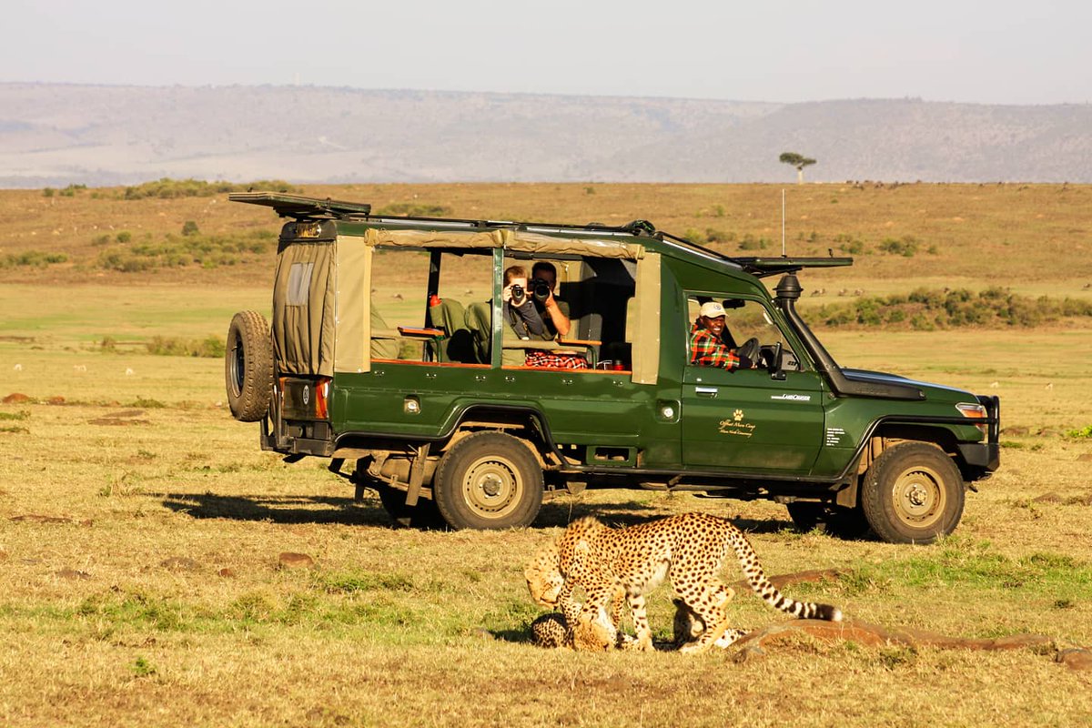 Offbeat Mara Camp tweet media