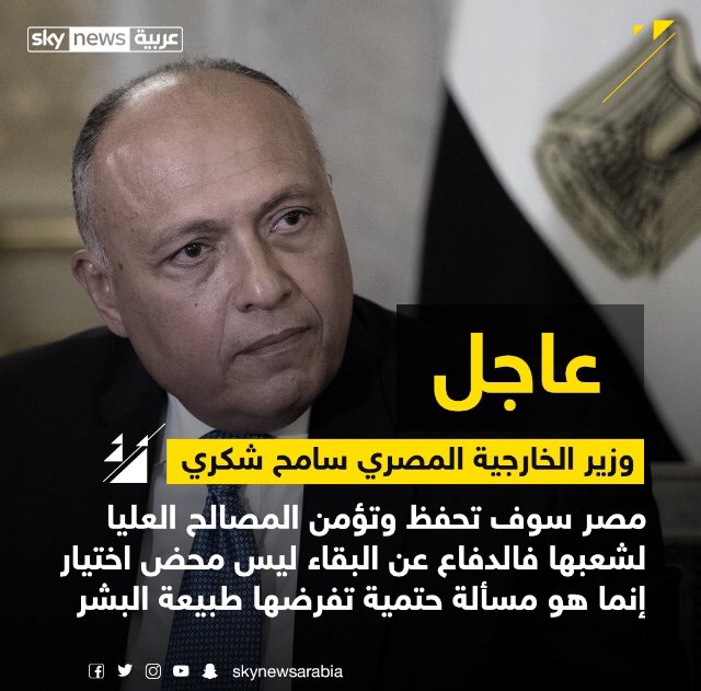 #سامح_شكرى بروفيسور واسد الخارجية