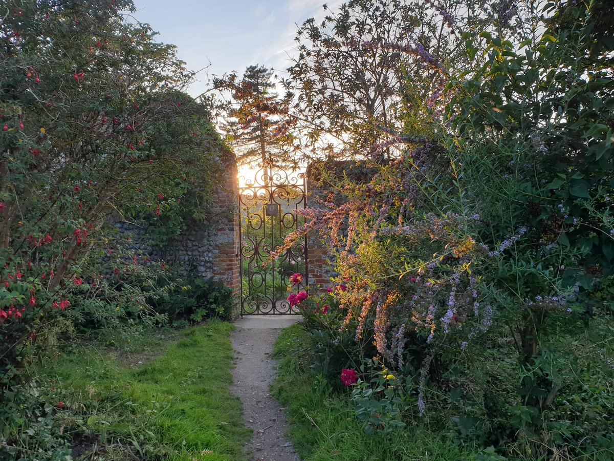 Wiveton Hall tweet media