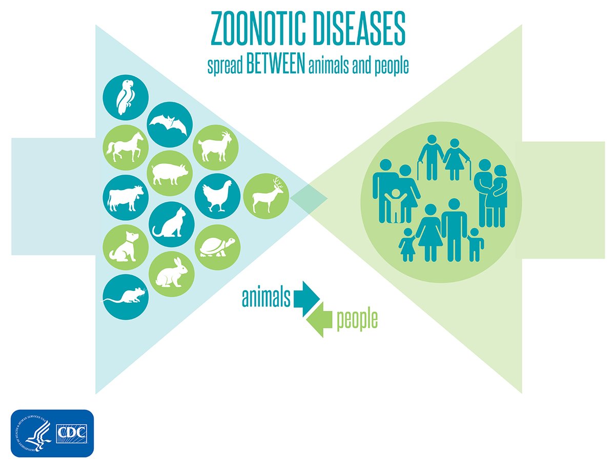 - 60 percent of human disease events originate in animals- These include  #Covid19, AIDS, Ebola, SARS etc- 80% of all viruses, 50% bacteria, 40% fungi, 75% protozoa are zoonotic