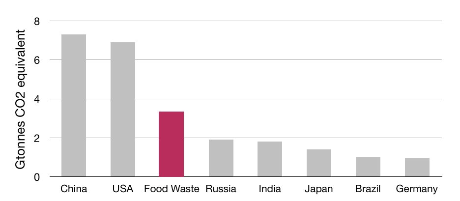 -2 billion of us are overweight or obese- 800 million go to bed hungry every night - 1/3rd of all food produced is wasted If food waste was a country, it would be the 3rd biggest CO2 emitter