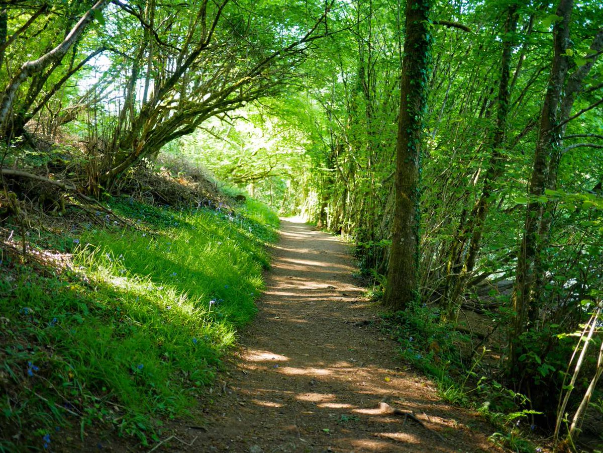 Travel writer <a href="/KitiaraP/">Kitiara Pascoe</a> shares some excellent advice on how to enjoy the Devon countryside away from the crowded hotspots.

#HiddenGems #Devon #Walking #Tips #Hotspots

grow-media.co.uk/wellness/devon…