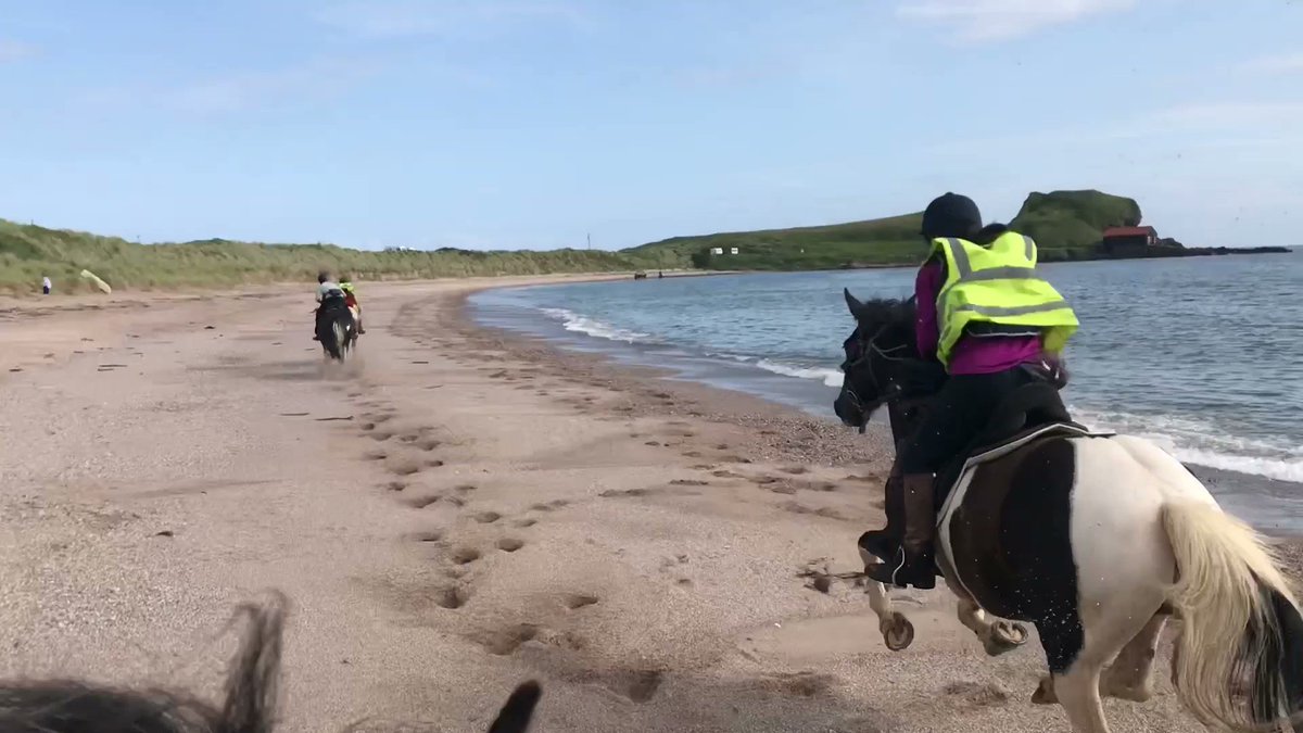 Wilder_Ways's tweet photo. The full day summer beach ride - with white sands and stunning views its the perfect mini escape! 

🌿🐳🐙🐚☀️🌿🐳🐙🐚☀️🌿🐳🐙🐚☀️

2020 dates available as follows:

Jul 29
Aug 7
Aug 14
Aug 28
Sept 4
Sept 18

Book your next adventure at: https://t.co/lbsxBROxe9

#staycation https://t.co/ruOsFLg0Uv