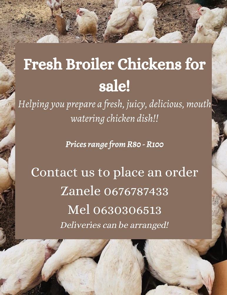 nele_zanele's tweet photo. Attention Cape Town Twitter!!!
Slaughtering and plucking of feathers is free. Please retweet. https://t.co/onBCKdV9OH