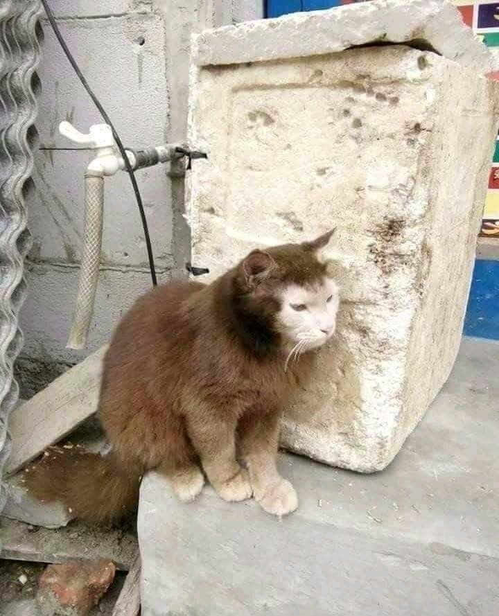 rajin skinkeran jarang mandi