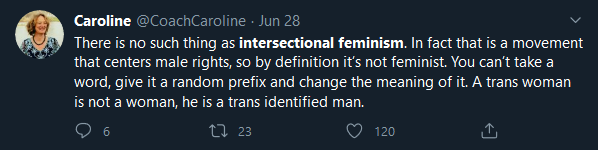 CW: Transphobia and white supremacyFor those who don't know, Intersectional feminism began with a black feminist scholar Kimberlé Williams Crenshaw in 1989. Intersectional theory asserts that women are often disadvantaged by multiple sources of oppression: their race, class...