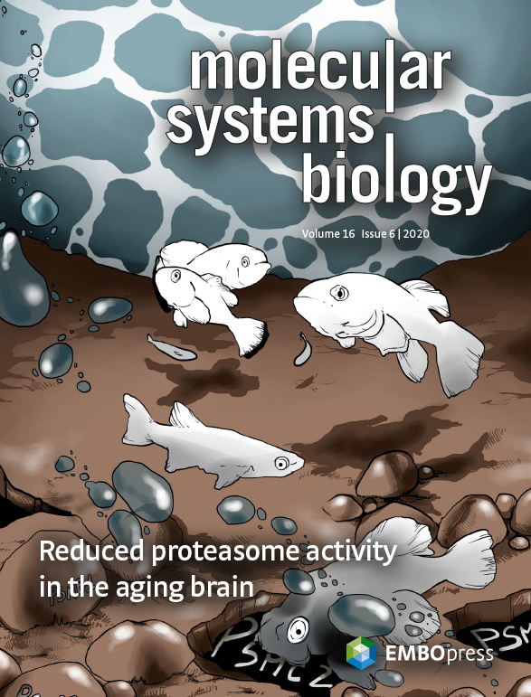 MolSystBiol's tweet photo. 06/2020 Issue: https://t.co/iIikmhlKHg
#SynBio, bacterial fitness upon starvation, #NitrogenFixation in rhizobia, CSF #proteomics for #Alzheimers biomarkers, #CRISPR guide design, #CircadianClock, new methods
Cover (@AOri_lab): reduced #proteasome activity in the #aging brain https://t.co/9F0fDwl0Mk
