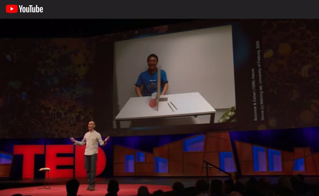 Retlouping's tweet image. Your brain hallucinates your conscious reality | Anil Seth
m.youtube.com/watch?v=lyu7v7…
Well worth a watch.
#predictiveprocessing
