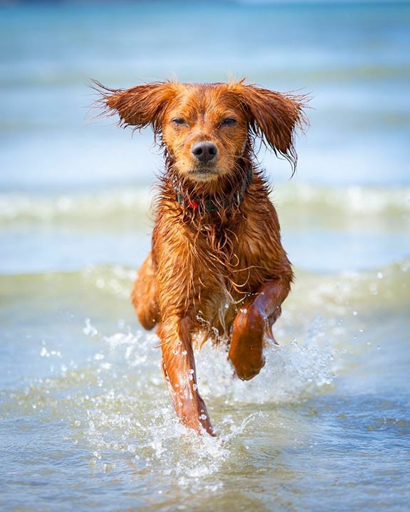 Last weekend, we discovered yet another beach in West Cork that we’ve never been to before. It’s amazing how many beautiful places can be found so close to home without us even realising it. We are delighted to have a chance to explore this beautiful area for ourselves! •
•
…