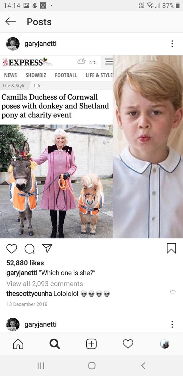 Here's a little taste of Janetti's misogyny when he decides to branch out of Meghan attacks.See, it's funny because he's imagining a toddler repeatedly calling a member of his family an animal.