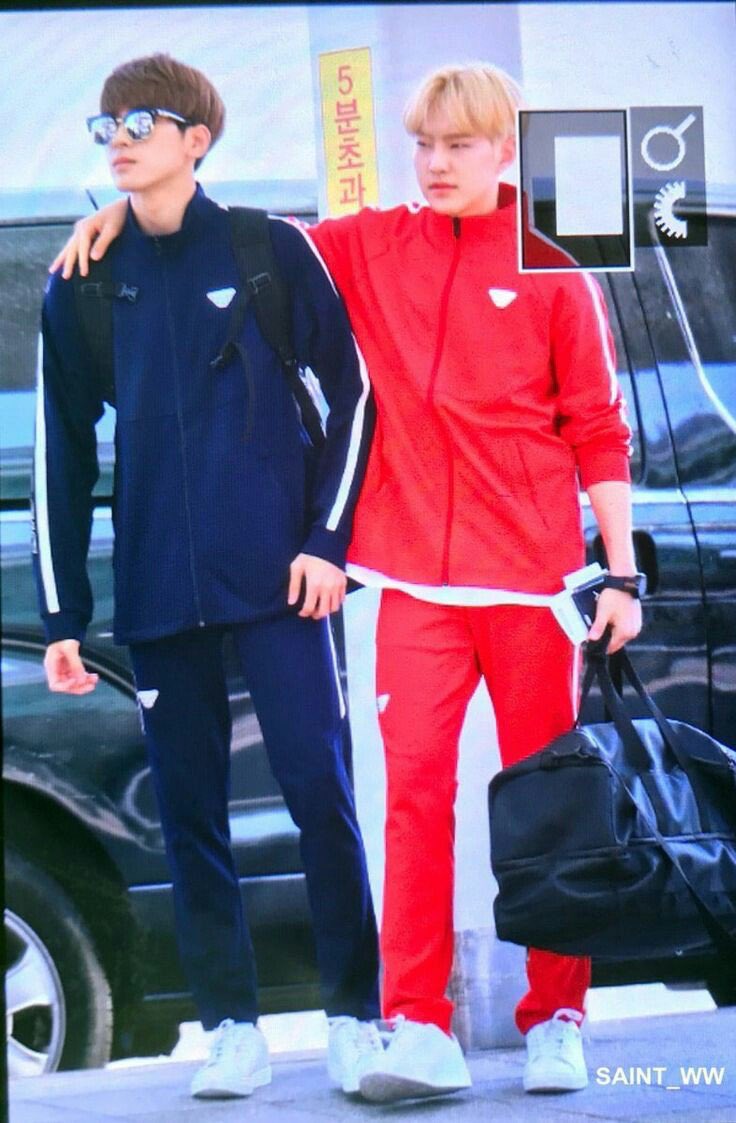 — hoshi proudly showing everyone that him and his best friend have matching outfits from head to toe ft. jeonghan also! p.s look at hoshi's face   #soonwoo  #wonhosh