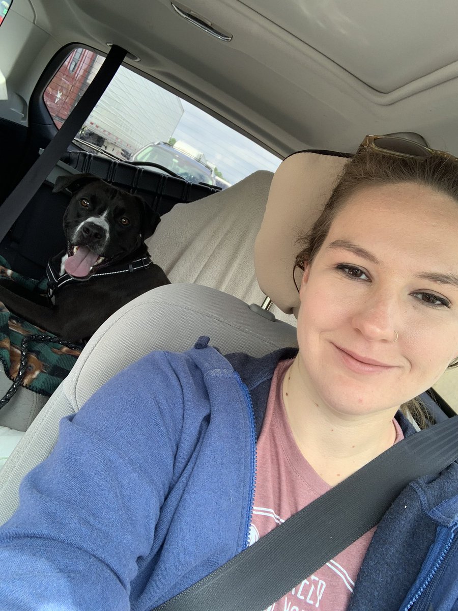AlessandraaBD's tweet photo. 14 hours and 8 states in one day with this lil cow but we’re in home in MA for the first time since December! #pocketpibble https://t.co/WFTJYm0qZU