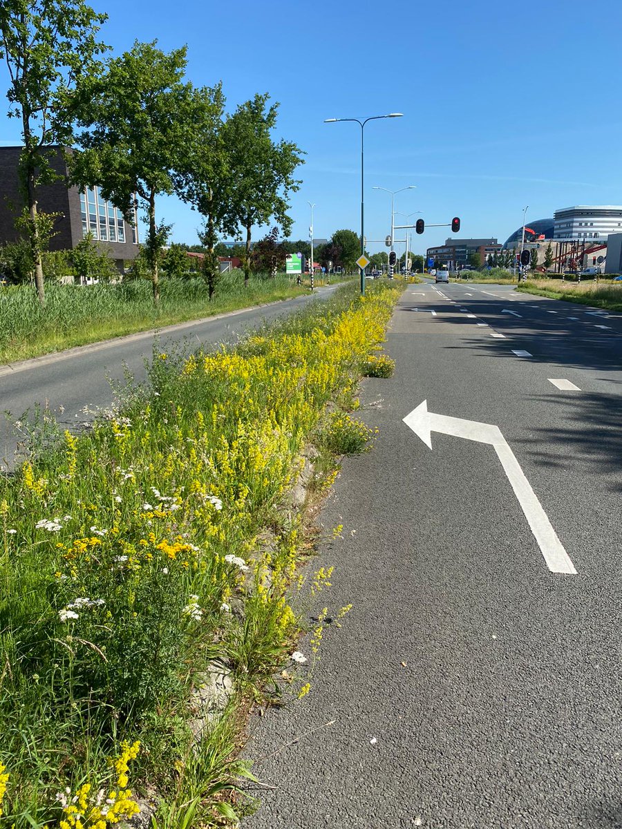 Onze Buitenruimte tweet media