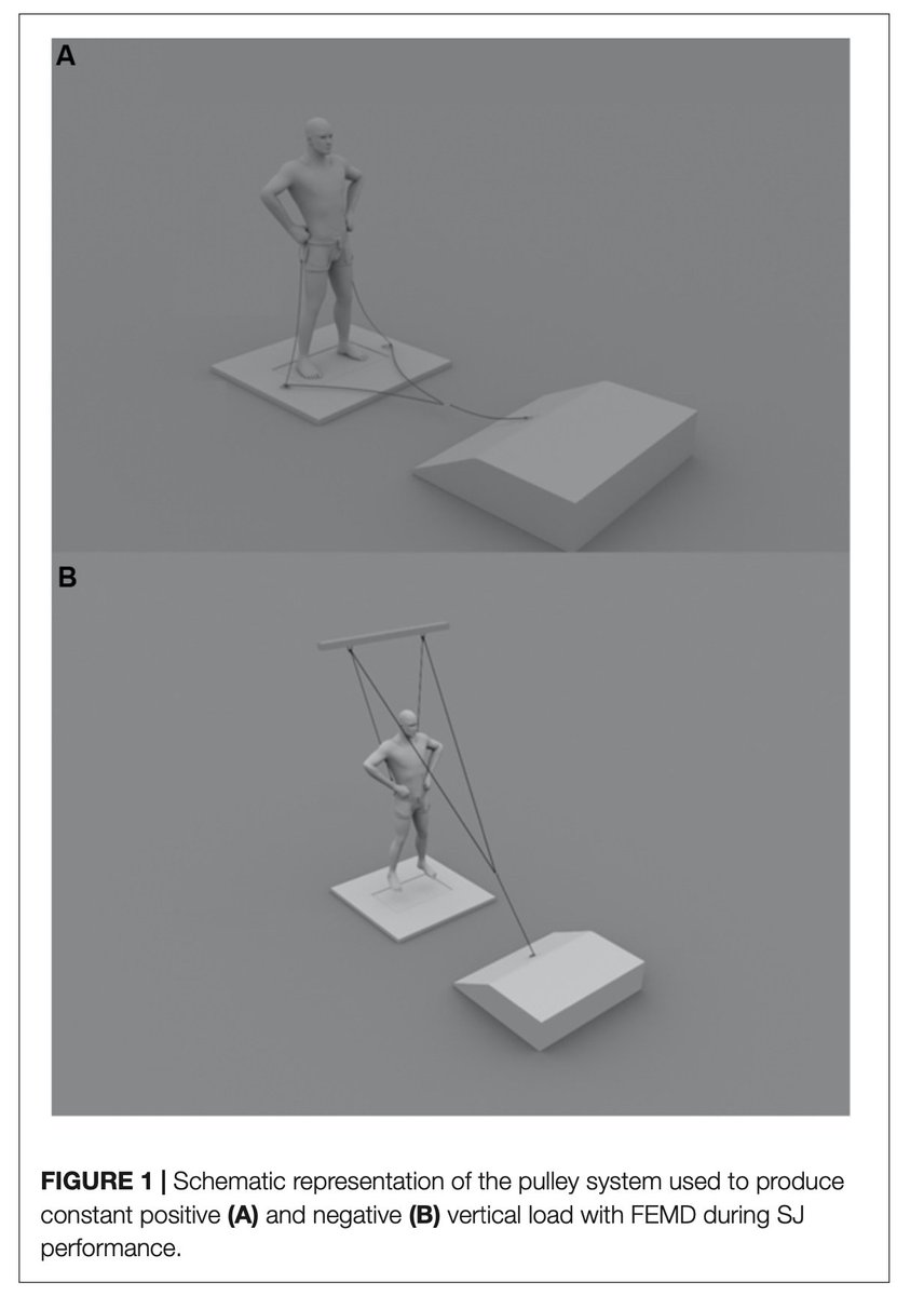 FisioKineDJerez's tweet photo. Differences in Utilization of Lower Limb Muscle Power in Squat Jump With Positive and Negative Load https://t.co/odtTtKGj7Z https://t.co/yn9T584eHy