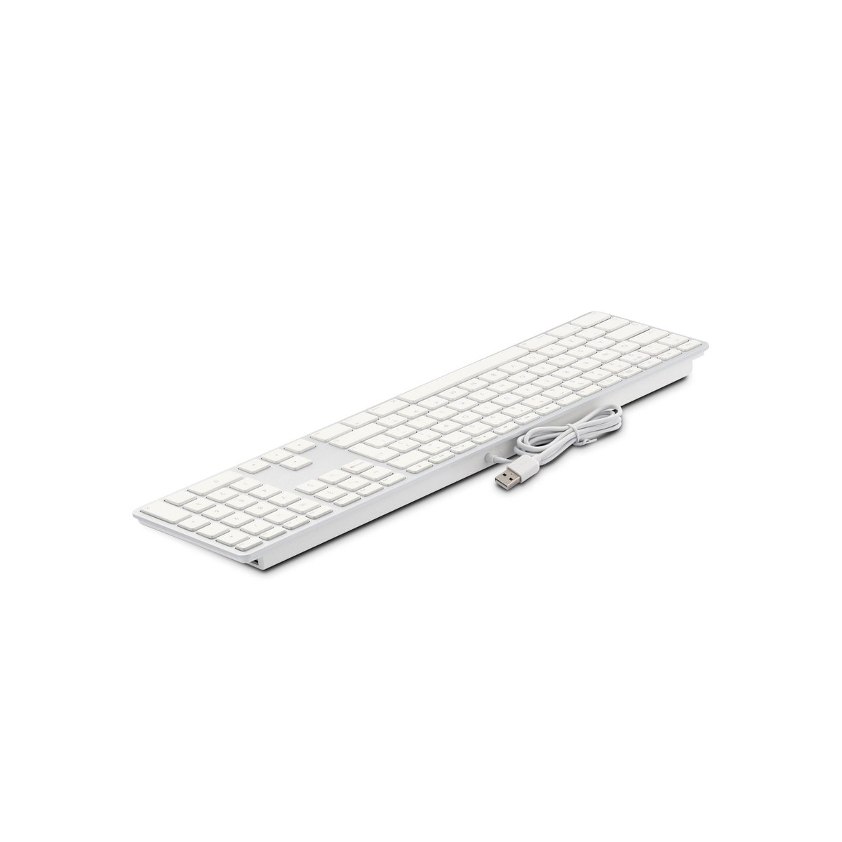 macshop_com's tweet photo. Per chi ha nostalgia del cavo, la soluzione ideale la offre LMP. Ecco i nuovissimi Easy Mouse USB nei colori silver e space gray che saranno il perfetto abbinamento alle tastiere LMP in alluminio

https://t.co/6Vvxwfe1GM

Per ordini superiori ai 50€, il trasporto lo offriamo noi https://t.co/K9lv7ciQq6