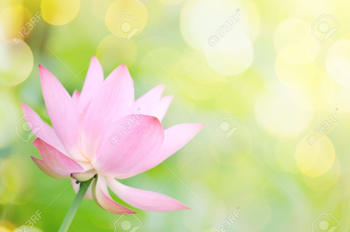 jyoti_p16's tweet photo. @AvdheshanandG @narendramodi ॐ नमो नारायणाय
सादर चरण वन्दन प्रभुश्री 🙏🙇🌹
शरीर में प्राणों का सिलसिला होता
है जैसे।
हमें प्रेम करना है हृदय से स्वदेशी
को ऐसे।
#59chineseapp
#Palghar
@narendramodi https://t.co/MJnW5n89jH