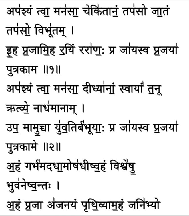 In the Rig Veda 10/183 Sukta, the bride and groom are talking about producing children together. The bride and groom are saying that the son is a work, that is, you want a son, that the bridegroom says to the bride that you are a son,