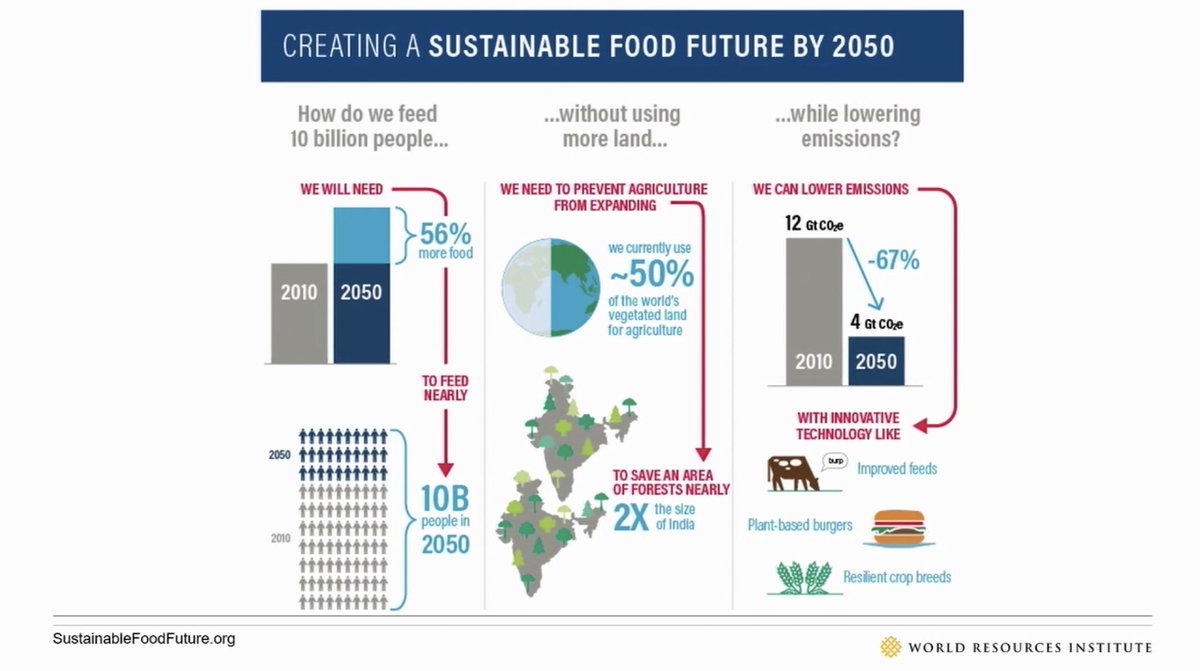 CulinaryMed's tweet photo. There's so much we need to do but eating more #plant-based foods at the expense of animal foods is definitely on the agenda #sustainable #econutrition #foodfuture #asn @nutritionorg https://t.co/mXx7zJjSSP
