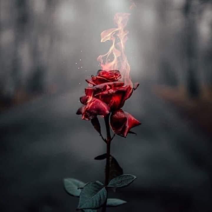 AlinaBhatti7's tweet photo. رک جائے میری دھڑکن
تو موت نا سمجھنا

کئی بار یوں ہوا ہے
تجھے یاد کرتے کرتے https://t.co/HgciqE0oJx