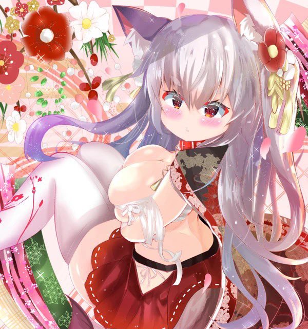 夕立ちゃん(2019年正月) 