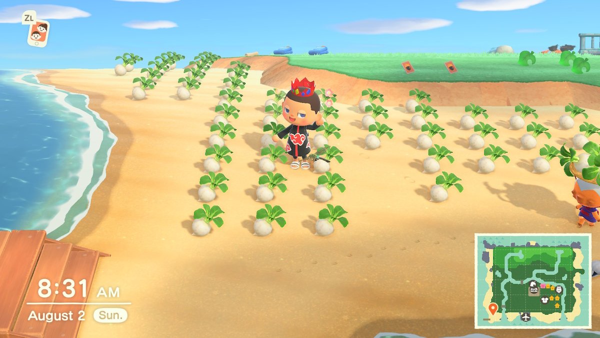 Shinyrob tweet media