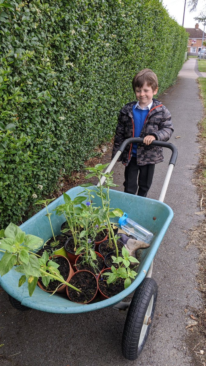 MaryBrandom's tweet photo. @ClivetheCrane we enjoyed our walk to school today with the special delivery for the flower beds... https://t.co/HSsZ1vIqmP