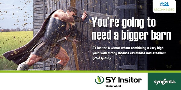 SY INSITOR is poised to fit many criteria as we enter the new decade.

You can expect high yield and high quality, but also good Septoria tritici resistance and later drilling possibilities as we look to manage crop issues with a diminished crop protection armoury.