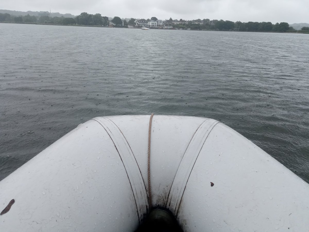 Dr Catie Gutmann Robert tweet media