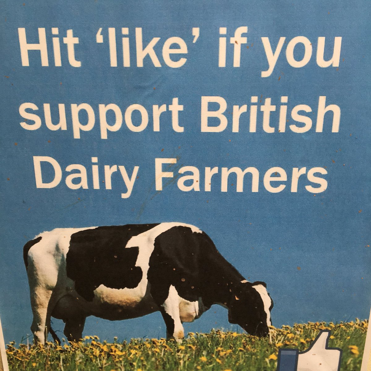 rattycastle's tweet photo. #FarmExcellence   #buyBritish https://t.co/ZQp8aU6jNR