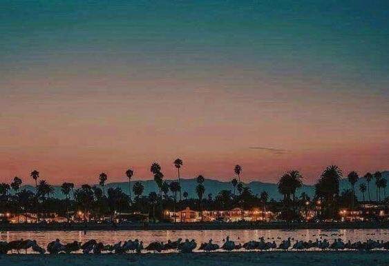 🌅💛