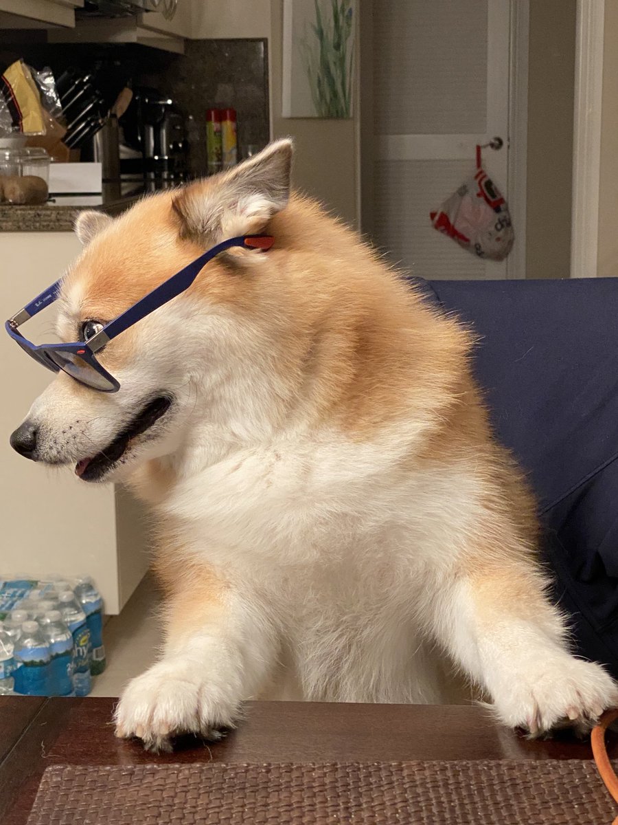 dale bornstein tweet media