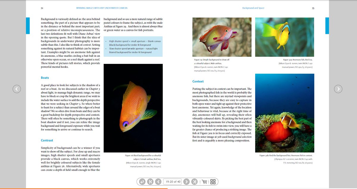 Find out what your photos are missing in Winning Images with Any Underwater Camera by @paul_colley  - check out the new free preview at b2l.bz/sbclND  #uwphotos #underwaterphoto #underwaterphotography #uwcameras #diving #scuba #scubadiving <a href="/PADI/">PADI</a> <a href="/BSACdivers/">British Sub-Aqua Club</a> <a href="/diveSSI/">diveSSI</a>