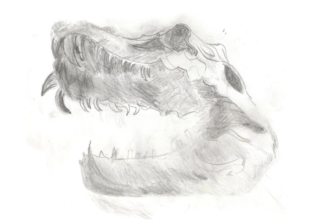 Venture Arts tweet media