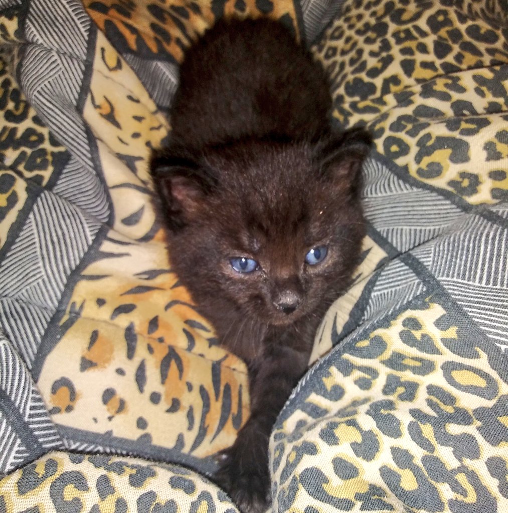 Little Georgie ❤