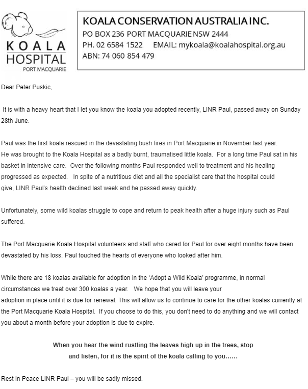 #LINRPaul the Koala has passed away. Paul was the first koala at the Port Mac. Koala Hospital to be brought into care during the #AustralianBushfires
#climatechange #koalakiller #deforestation 
🐨