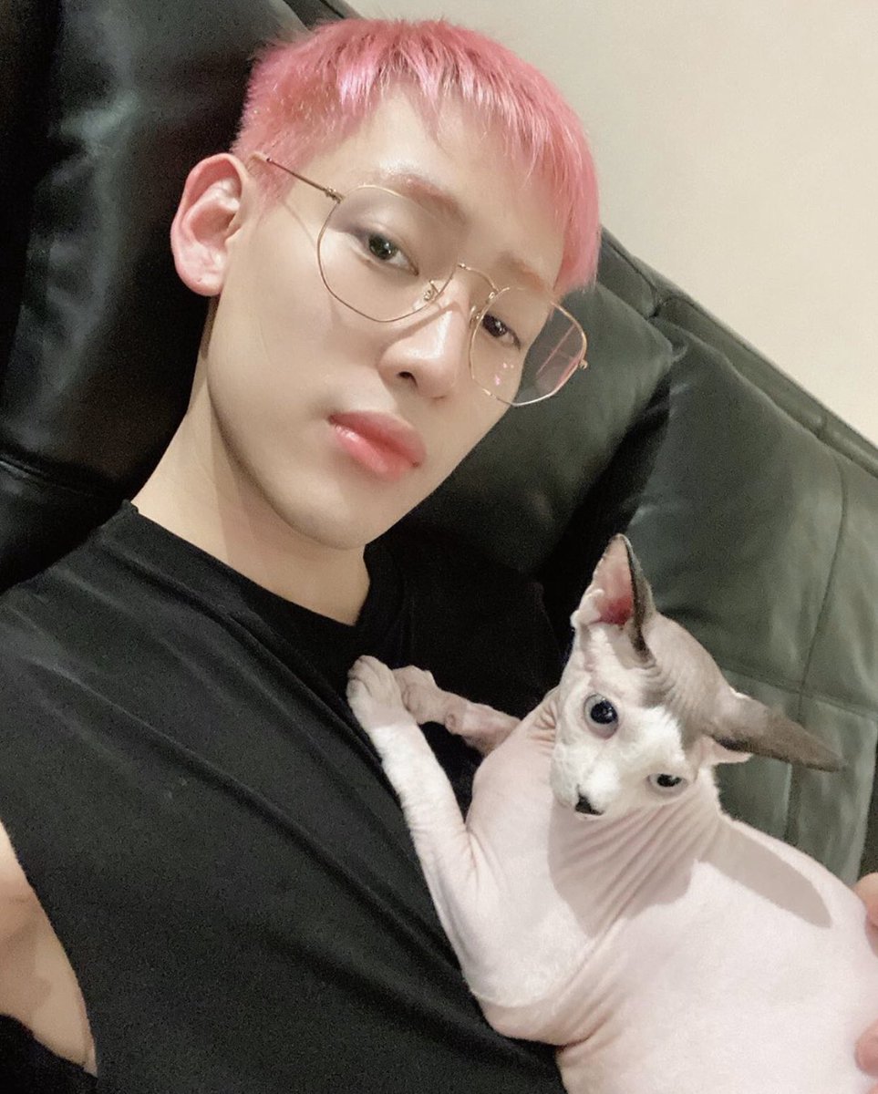 Jungkook Sors Decalcomania Chakal Bambam Je T Aime De Tout Mon Cœur Mais Ton Chat Il Est Grave Moche Jungkook Sors Decalcomania Chakal Bambam Je T Aime De Tout Mon Cœur Mais Ton Chat Il Est Grave Moche