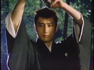 気まぐれ米ナス Pe Twitter 永谷園のcmに出演しているこの女性は 片岡孝夫の娘だったのか 何となく細川ふみえに似ている 片岡京子