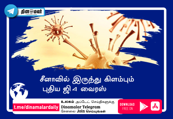 dinamalarweb's tweet photo. சீனாவில் இருந்து கிளம்பும்  புதிய ஜி-4 வைரஸ் https://t.co/Fpk2B7xNzw https://t.co/vnxIN9fQcg