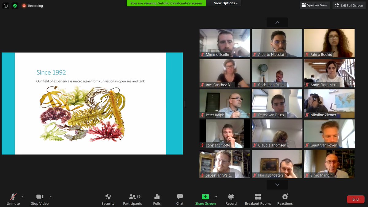 EABA_Algae's tweet photo. `Who are you`session at @EABA_Algae Algae Based #Fish &amp; #Meat #Webinar:  Eric La Costa @algamafoods, Marie-Dominique Plan #Marinoe, Claudia Thomsen,  Svenja Starke #Microganic. @vverdelho @Buildingonevent #algae #food #Fish #meat #vegan #alternative #protein #algaeworkshops https://t.co/aPlrxWW8CF