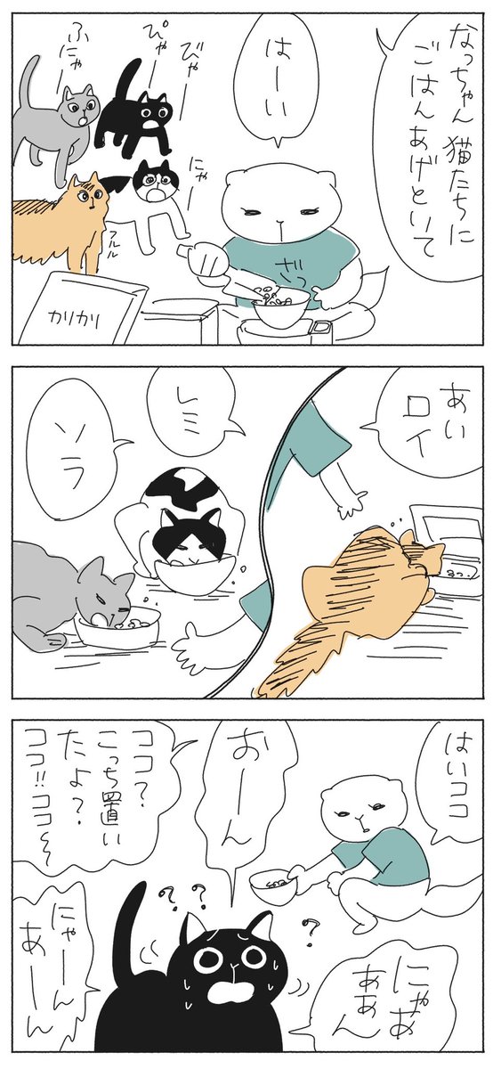 ココパニック
#猫マンガ 
#コルクラボマンガ専科 