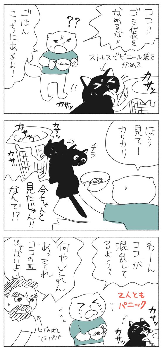 ココパニック
#猫マンガ 
#コルクラボマンガ専科 