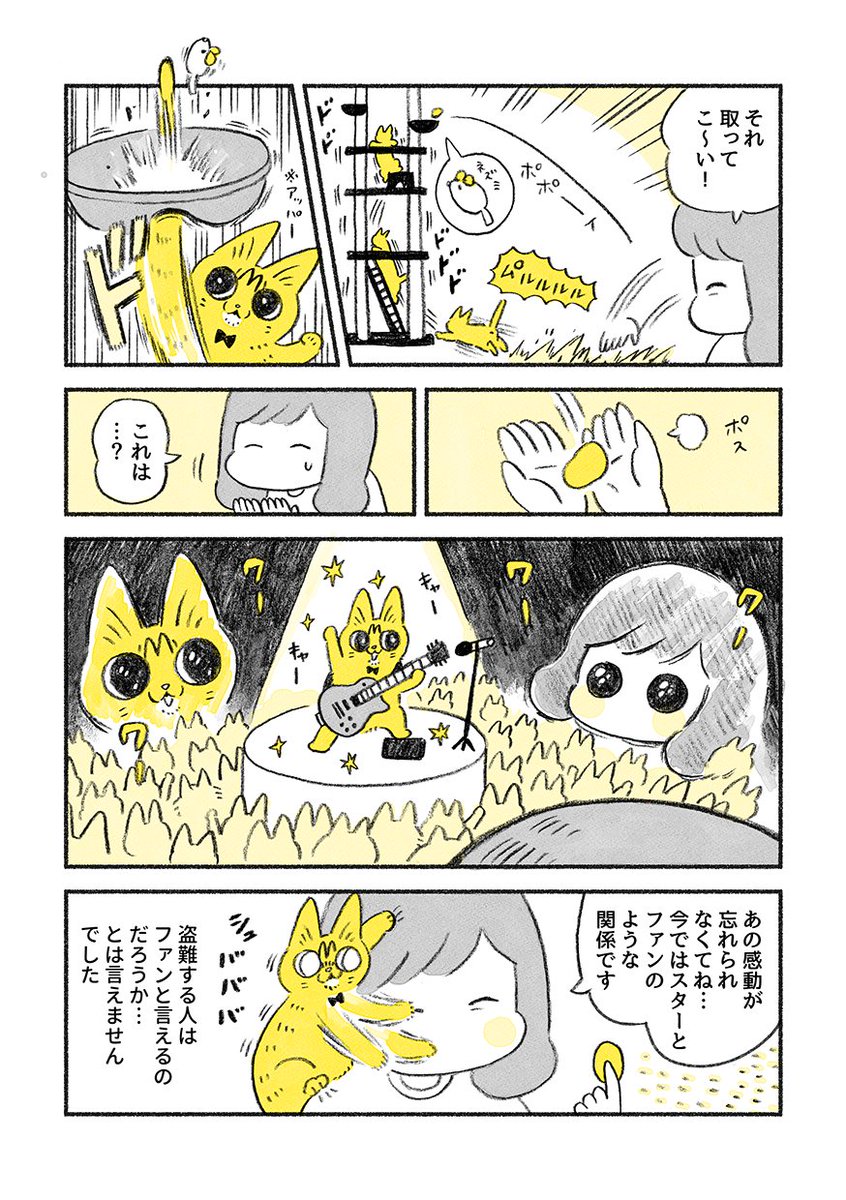 やっちゃんのギターピック 